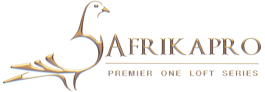 afrikapro gold logo